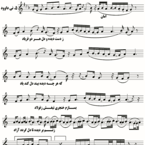 نی داوود همایون