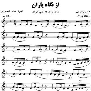 از نگاه یاران