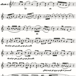 مخالف چهارگاه