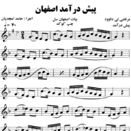 پیش درامد اصفهان سل نی داوود