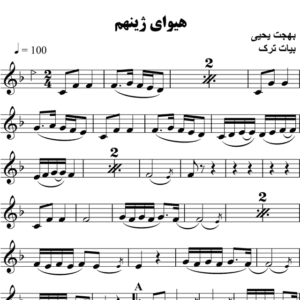 هیوای-ژینم
